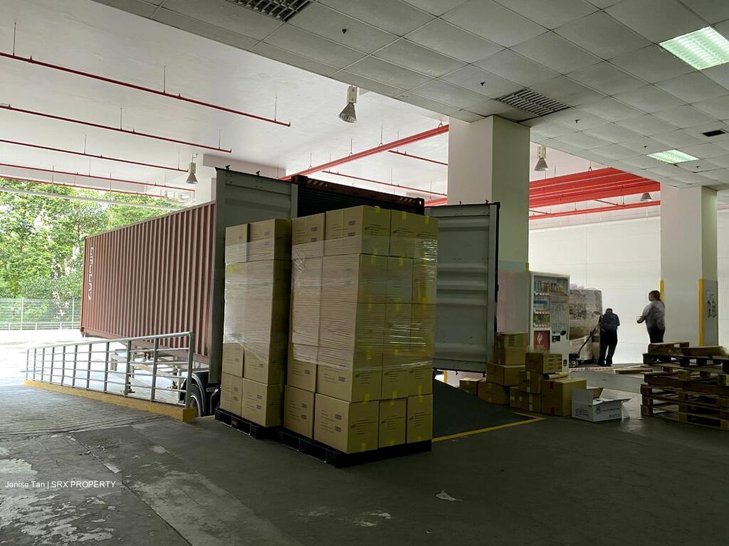 Woodlands Terrace (D25), Factory #464667741